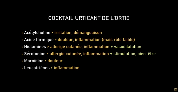 Liste des éléments chimiques dans le cocktail urticant de l’ortie