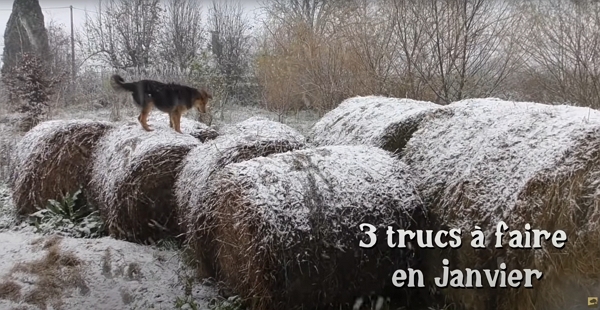 Featured image of post 3 Trucs à faire en Janvier au Jardin avec Damien Dekarz