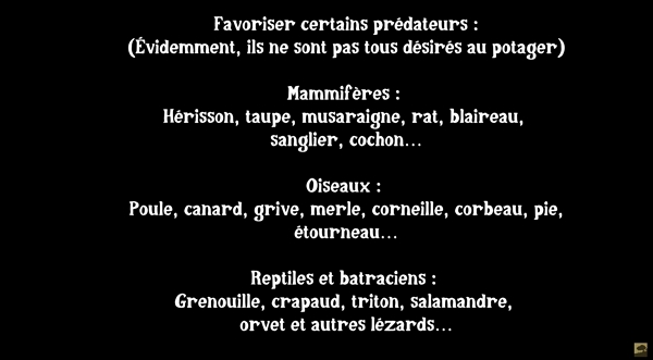 Liste d’animaux prédateurs des limaces.