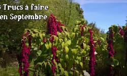 Titre de la vidéo sur fond de jardin avec de l'amaranthe.