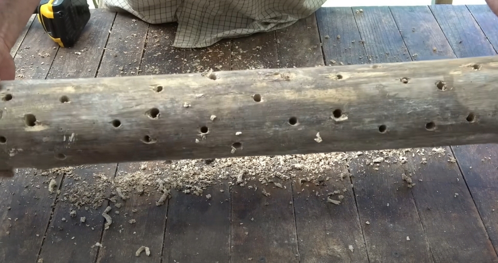 Exemple de nichoir pour coccinelles à partir d’un morceau de bois