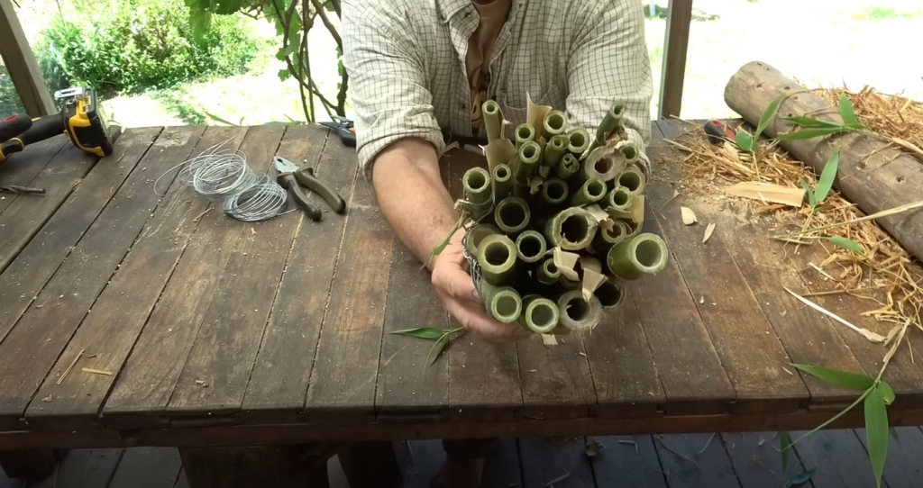 Un fagot de bambou comme nichoir pour arthropodes