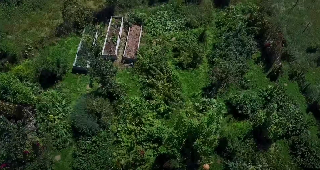 Vue aérienne du jardin en septembre