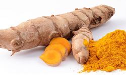 Du curcuma en racine et en poudre