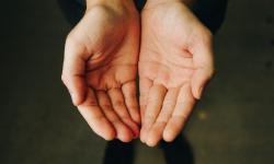 Une paire de mains prête à recevoir