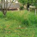 Tonte en cours chez moi, le 27 avril  2025
